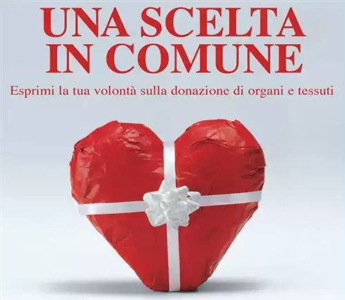 Una scelta in Comune
